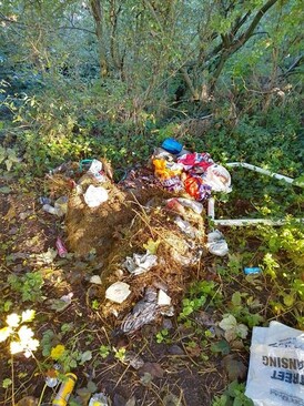 Items of general rubbish that has been fly-tipped