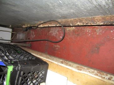 Storage area with mouse droppings