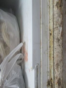 Mold, dirty and mice droppings in a fridge