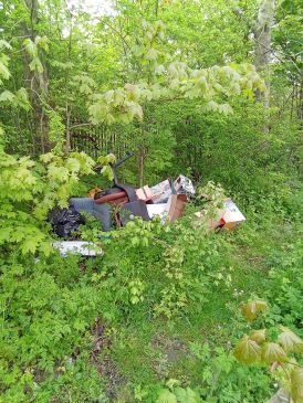 Waste dumped in wooded area