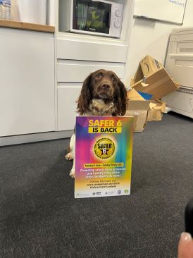 Giff the tobacco search dog with Safer 6 campaign poster