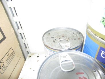 Mouse droppings on tinned food