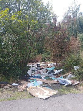 Waste dumped in wooded area