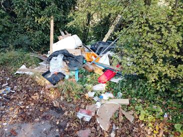 Household waste dumped in wooded area